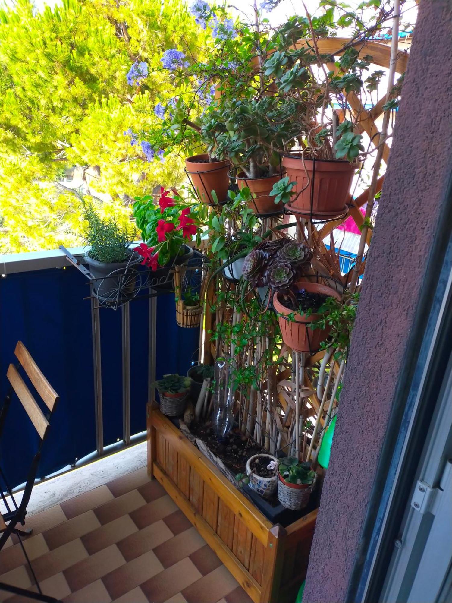 Appartamento Riviera Trilocale Wifi E Parcheggio Privato Ventimiglia Zewnętrze zdjęcie